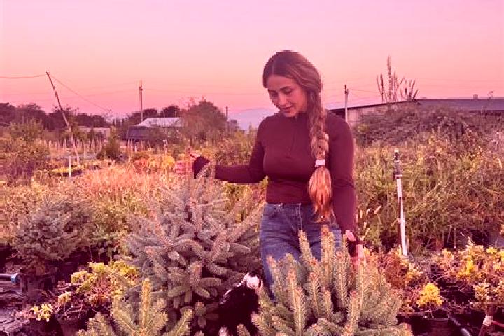 Chloe, 34 — Escort in Tsnori, Georgia