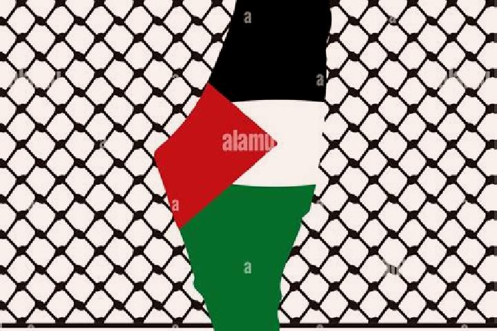 Chloe, 34 — Escort in Zabdah, Palestine