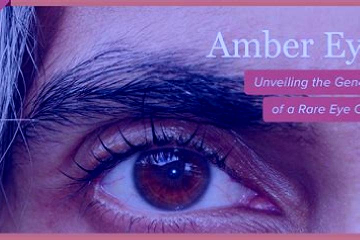 Chloe, 35, a red amber-eyed middle eastern companion based in Galapagos. Offering Tantra, Roleplay, GFE, Fetish. Available for incall and outcall, day and ev...