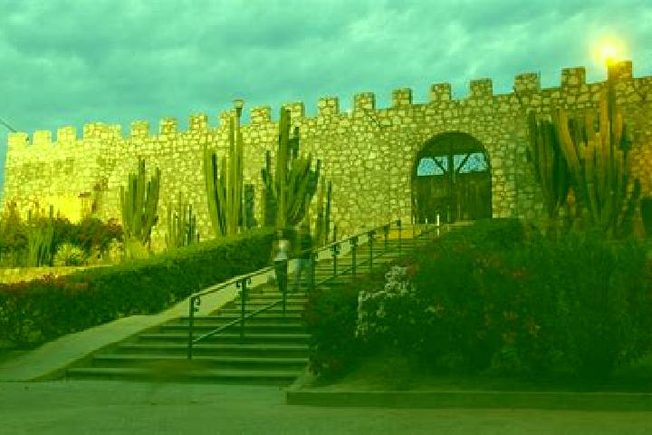 Chloe, 35 — Escort in El Fuerte, Mexico
