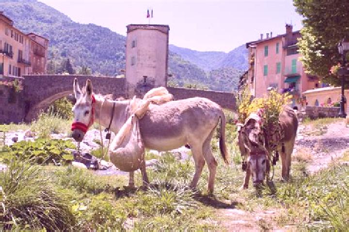 Chloe, 35 — Escort in Sospel, France