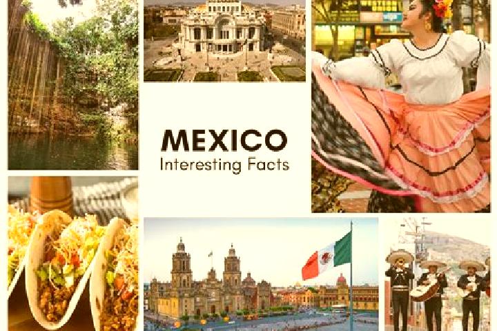 Chloe, 35 — Escort in Tapayoltepec, Mexico