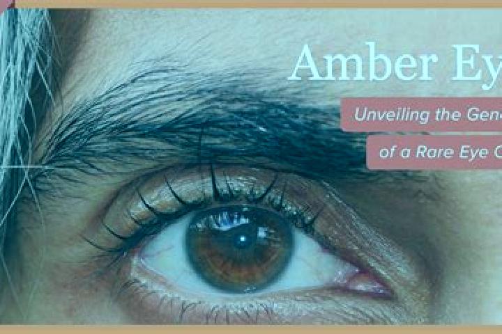 Chloe, 36, a black amber-eyed middle eastern companion based in Shentang. Offering GFE, Travel Companion, 69, Duos. Available for incall and outcall, overnig...