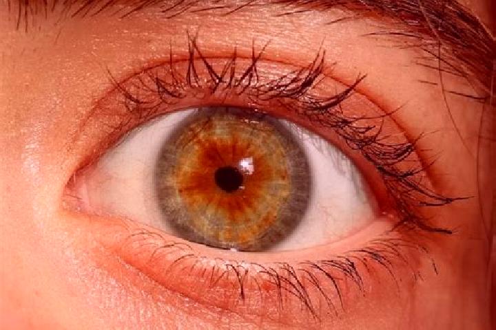 Chloe, 36, a red hazel-eyed mediterranean companion based in Isa. Offering Fetish, 69, Tantra. Available for incall and outcall, overnight bookings available.