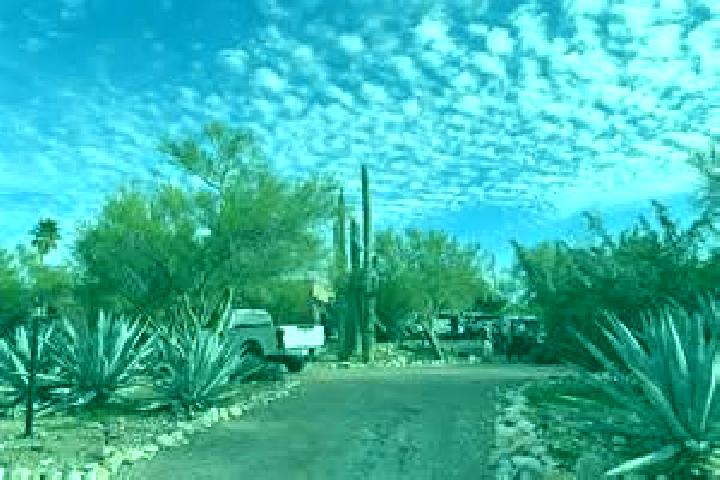 Chloe, 36 — Escort in Catalina Foothills, United States