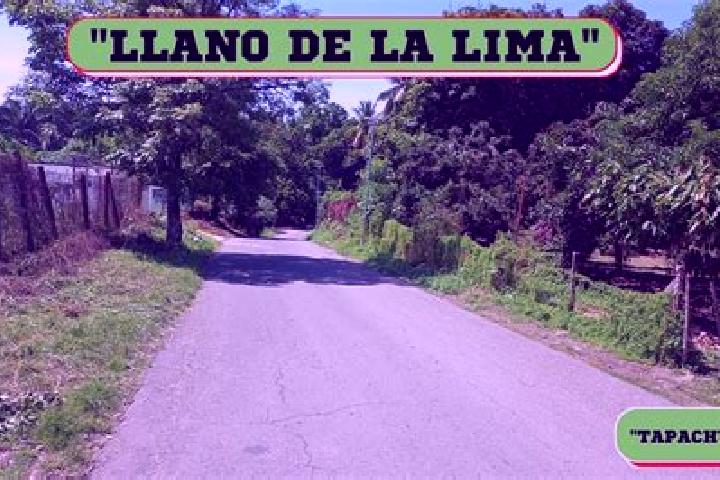Chloe, 36 — Escort in Llano de la Lima, Mexico
