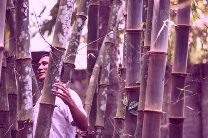 Chloe, 37 — Escort in Bamboo Flat, India