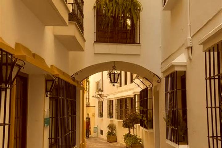 Chloe, 37 — Escort in Casla, Spain