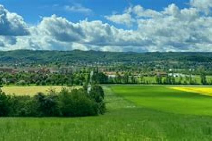 Chloe, 37 — Escort in Drohndorf, Germany