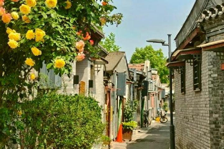 Chloe, 37 — Escort in Xiangfeng, China