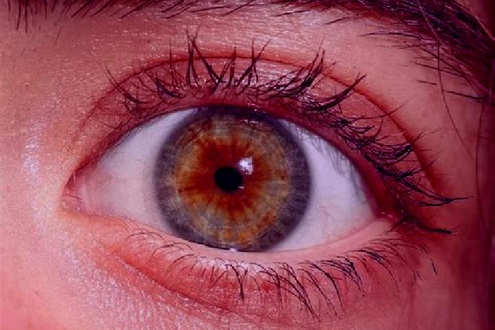 Chloe, 38, a red hazel-eyed mediterranean companion based in Dala Cachibo. Offering OWO, Tantra, Domination. Available for incall and outcall, day and evenin...