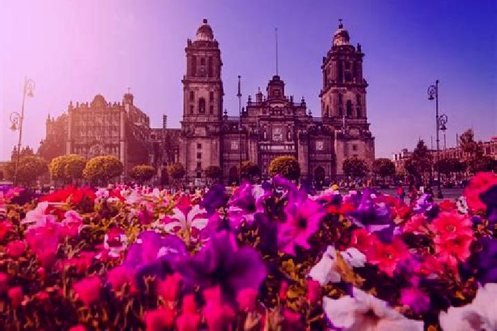 Chloe, 38 — Escort in Ciudad Tula, Mexico