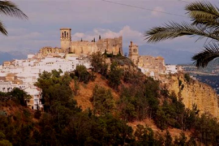 Chloe, 38 — Escort in Jimena de la Frontera, Spain