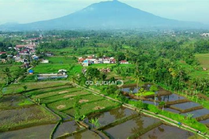 Chloe, 38 — Escort in Solokpandan, Indonesia