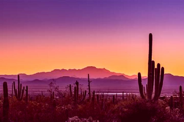 Chloe, 38 — Escort in South Tucson, United States