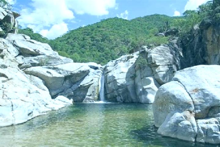 Chloe, 39 — Escort in Paredones (La Punta de la Laguna), Mexico