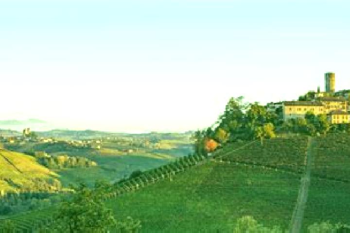 Chloe, 39 — Escort in Rocca di Papa, Italy