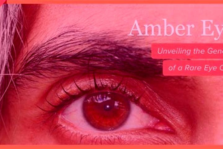 Clara, 20, a black amber-eyed caribbean companion based in Palamutlu. Offering Girlfriend Experience, Deep French Kissing, Prostate Massage, Domination. Avai...
