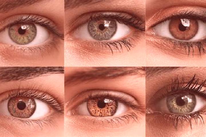 Clara, 20, a red hazel-eyed mediterranean companion based in Zemo-Barghebi. Offering Fetish, OWO, Roleplay. Available for incall and outcall, overnight booki...