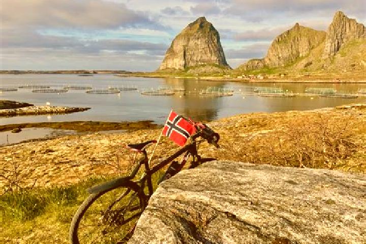 Clara, 20 — Escort in Al, Norway