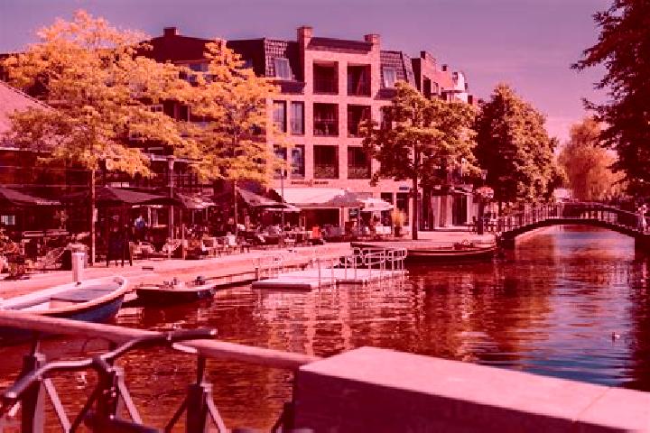 Clara, 20 — Escort in Maassluis, Netherlands