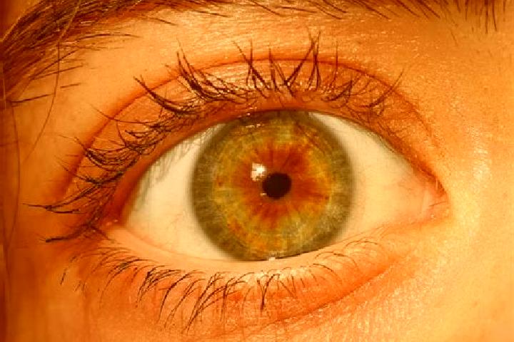 Clara, 21, a red hazel-eyed mediterranean companion based in Urim. Offering Domination, 69, BDSM. Available for incall and outcall, overnight bookings availa...