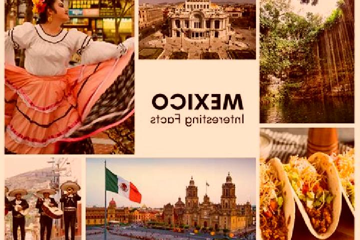 Clara, 21 — Escort in Capohuiza, Mexico