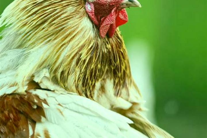 Clara, 21 — Escort in Kashin, Russia