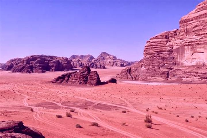 Clara, 21 — Escort in Wadi Fukin, Palestine