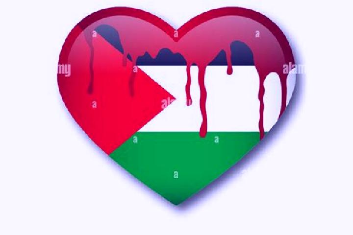 Clara, 22 — Escort in Qedumim, Palestine