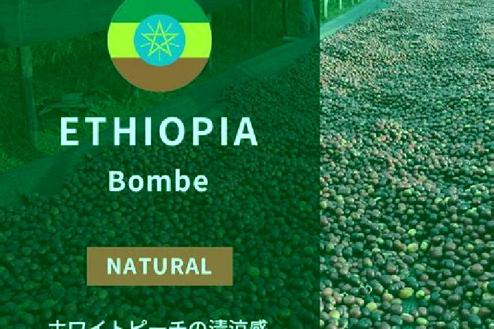 Clara, 23 — Escort in Bombe, Ethiopia