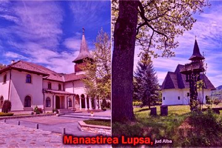 Clara, 23 — Escort in Lupsa, Romania