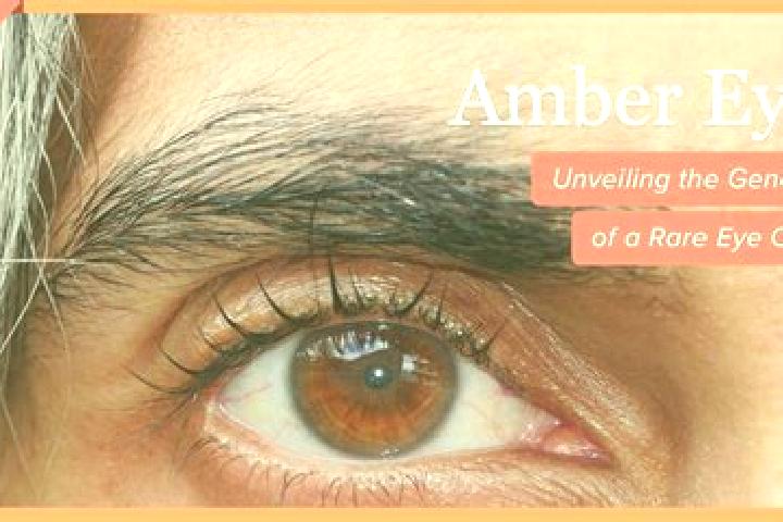 Clara, 24, a red amber-eyed middle eastern companion based in Zanguoping. Offering OWO, BDSM, Duos. Available for incall and outcall, overnight bookings avai...