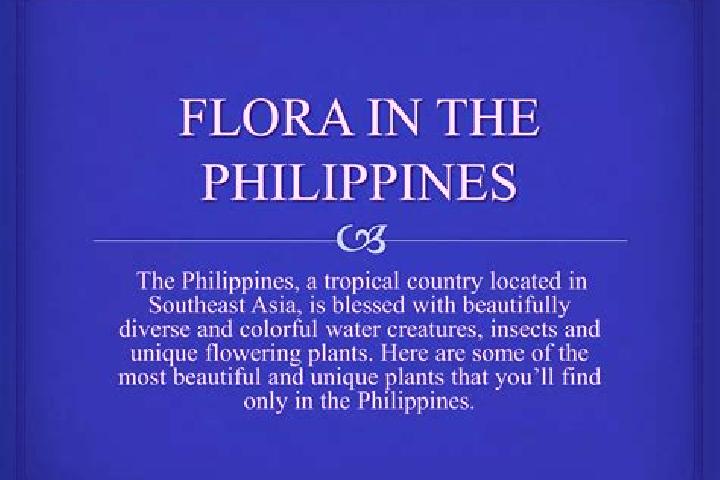 Clara, 24 — Escort in Camp Flora, Philippines