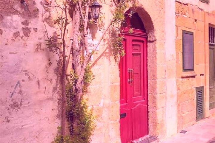 Clara, 24 — Escort in Kirkop, Malta