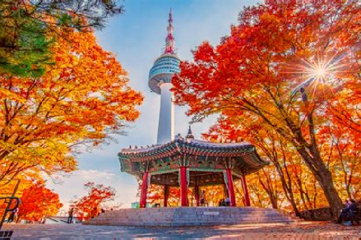 Clara, 24 — Escort in Sindo, North Korea
