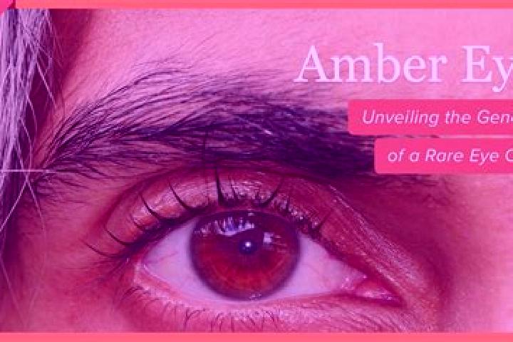 Clara, 25, a black amber-eyed caribbean companion based in Vervo. Offering OWO, Domination, Couples. Available for incall and outcall, overnight bookings ava...