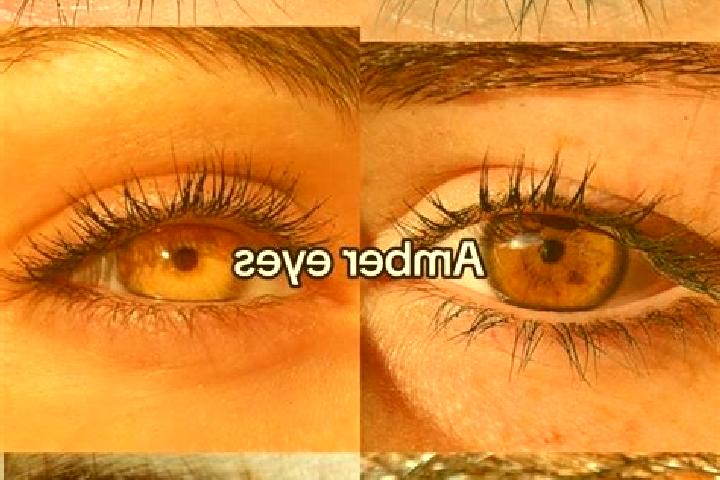 Clara, 25, a brunette amber-eyed caribbean companion based in San Vincenzo. Offering Erotic Massage, Girlfriend Experience, Striptease, Domination. Available...