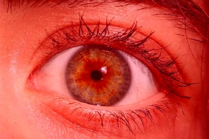 Clara, 25, a red hazel-eyed middle eastern companion based in Blagdon. Offering A-Level, BDSM, Girlfriend Experience. Available for incall and outcall, overn...