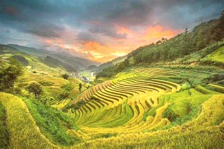 Clara, 25 — Escort in A Yun Pa, Vietnam