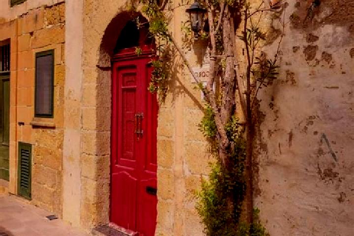 Clara, 25 — Escort in Kirkop, Malta