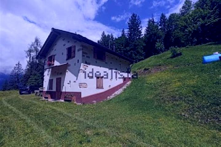 Clara, 25 — Escort in Laggio di Cadore, Italy