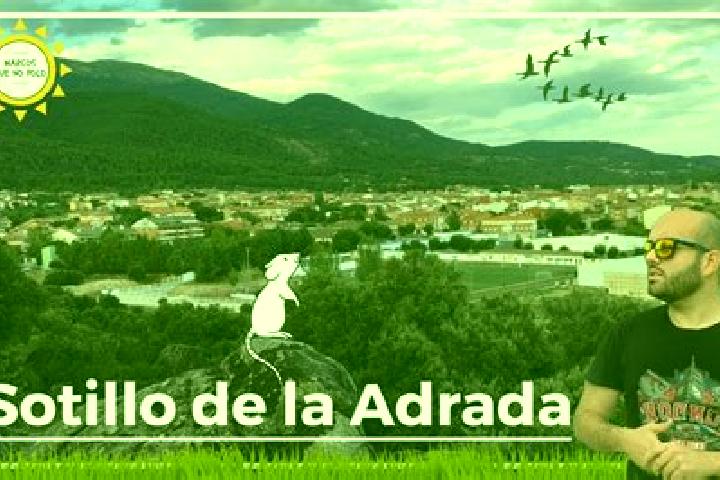 Clara, 25 — Escort in Sotillo de la Adrada, Spain