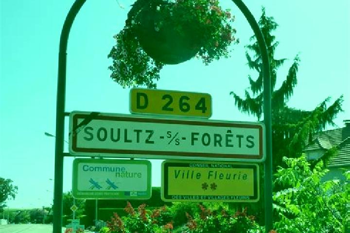 Clara, 25 — Escort in Soultz-sous-Forets, France