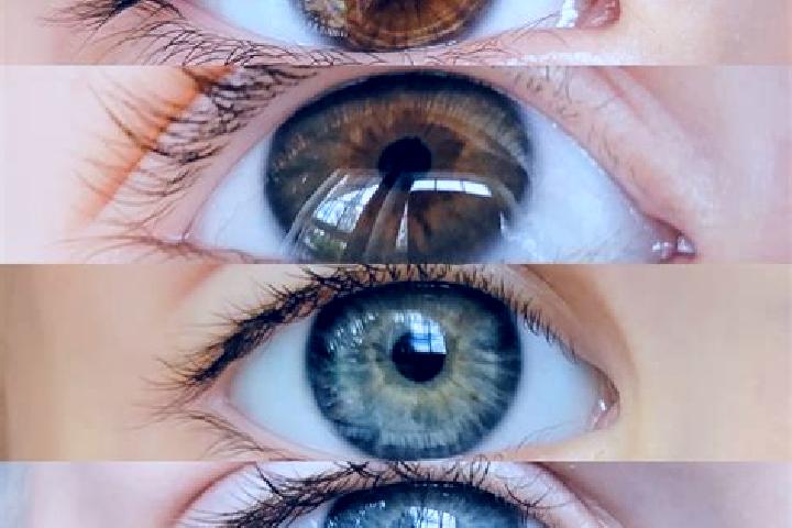 Clara, 26, a chestnut grey-eyed mixed companion based in Fronton Vivero. Offering Travel Companion, 69, OWO, Deep French Kissing. Available for incall and ou...