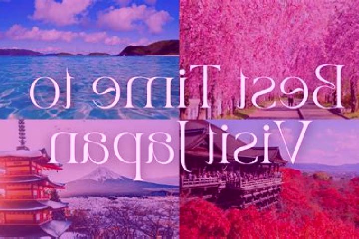Clara, 26 — Escort in Hakuromachi, Japan