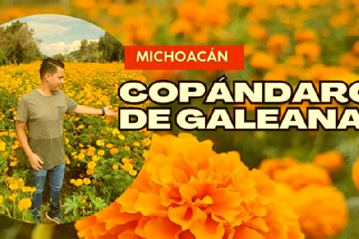 Clara, 27 — Escort in Copandaro (Copandaro del Cuatro), Mexico