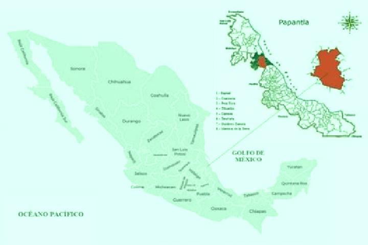Clara, 27 — Escort in Papantla de Olarte, Mexico