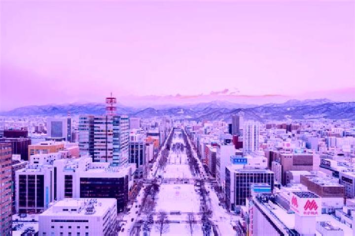 Clara, 27 — Escort in Sapporo, Japan