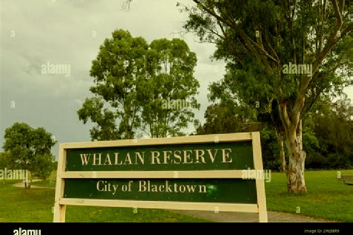 Clara, 27 — Escort in Whalan, Australia